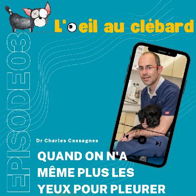 Quand on n'a même plus les yeux pour pleurer Quand on n'a même plus les yeux pour pleurer