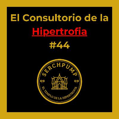 🔥 Entrena Como un AVANZADO con Restricción de Flujo Sanguíneo 💪 (¡Te VA a Sorprender!) #44 🔥 Entrena Como un AVANZADO con Restricción de Flujo Sanguíneo 💪 (¡Te VA a Sorprender!) #44