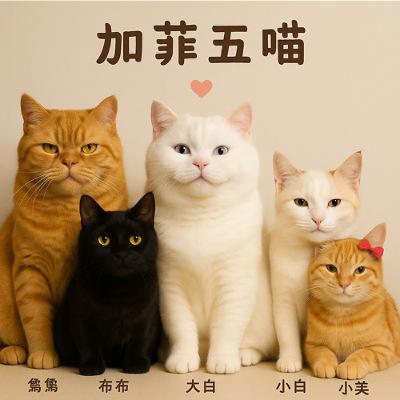 剛剛好的極簡生活