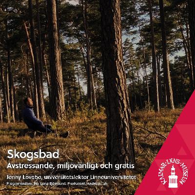 Skogsbad!
