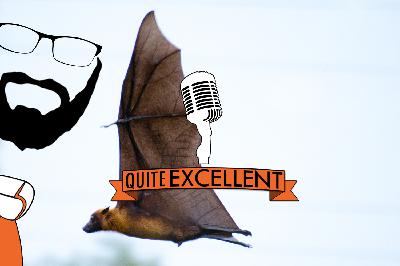 "The Bats" - Mark Wunderlich