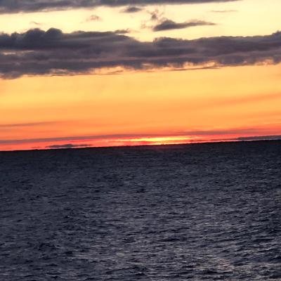 Episode 1 The Pilot Episode 1 The Pilot