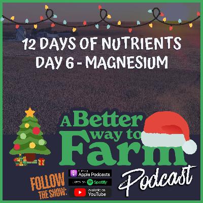 12 Days of Nutrients - Day 6: Magnesium