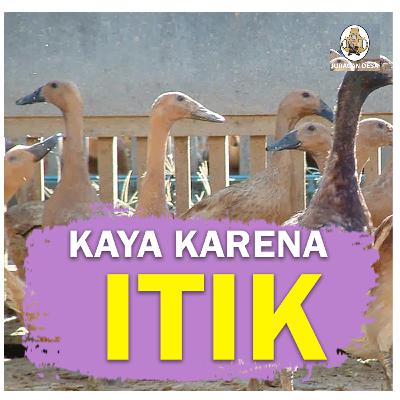JURAGAN DESA - Gara gara Itik