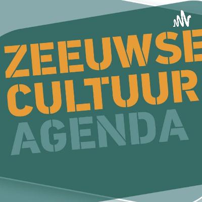 #3 Zomergesprekken met het collectief 'HRINS' over de klankwandeling op de grens in de bossen van Clinge