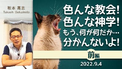 (前編) 色んな教会！色んな神学！もう、何が何だか・・・分かんないよ！ (坂本高志)