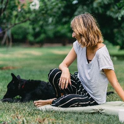 Canine Instincts Canine Instincts