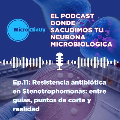 Ep.11: Resistencia antibiótica en Stenotrophomonas: entre guías, puntos de corte y realidad