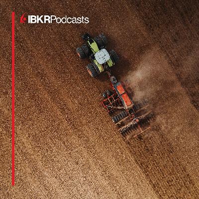 Are Grain Markets Running on Empty?