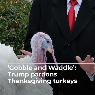 ‘Gobble and Waddle’: Trump pardons Thanksgiving turkeys, blasts Democrats | #ajshorts