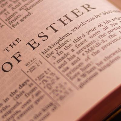 The Book of Esther The Book of Esther