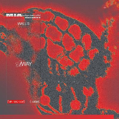 Premiere: Wallis — this is my last letter [MIAMAO008]