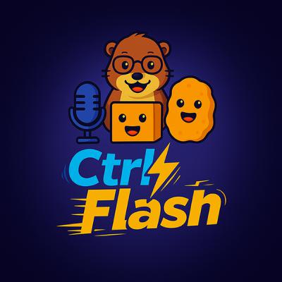 01. CtrlFlash Piloto