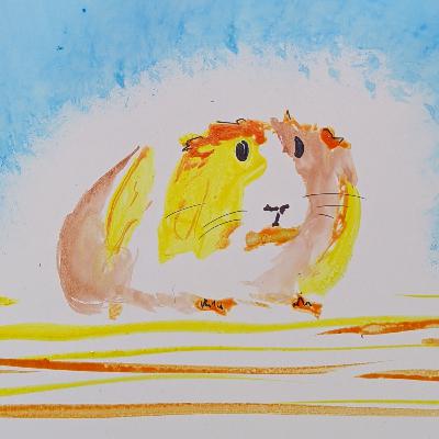Guinea Pig