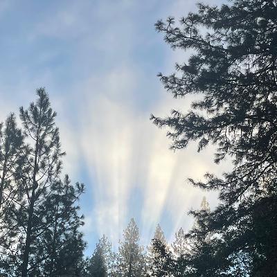 The Great Eastern Sun