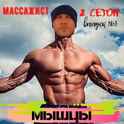 Скелетные мышцы