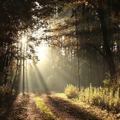 SM3 - Reimagining G - D