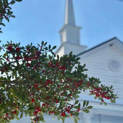 Numbering Your Days / Psalm 90