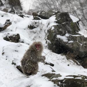 31 - Dead Ends #9 31 - Dead Ends #9