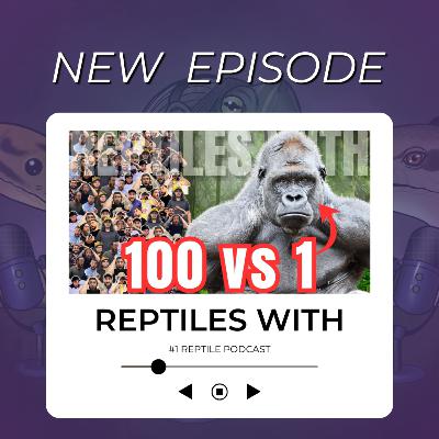 100 HUMANS VERSUS 1 GORILLA WHO WILL WIN & Stiletto Snake Bite | Reptiles With Podcast