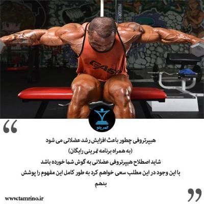 راهنمای جامع هیپرتروفی عضلانی (هوش مصنوعی) راهنمای جامع هیپرتروفی عضلانی (هوش مصنوعی)
