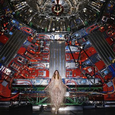 240: Vérből és fizetésből élők