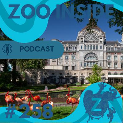 Zoo Inside #258