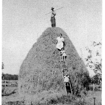 The Hitchcock family, Mullers Lane Jaspers Brush