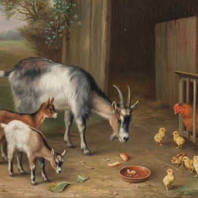 Avian Flu, Raw Milk, & Breastfeeding Avian Flu, Raw Milk, & Breastfeeding