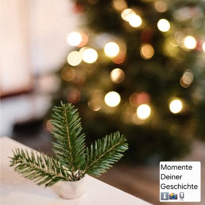 180: Oh Du schöne Bokeh-Zeit