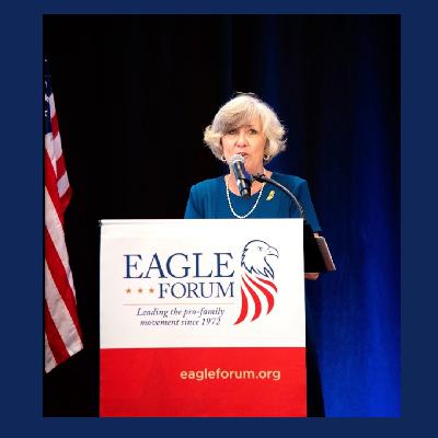 Get Out the Vote All Hands on Deck for November – Kris Ullman, JD