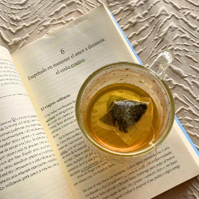 Conoce todo sobre el ESTILO DE APEGO EVASIVO. Parte IV del Libro "Maneras de Amar".
