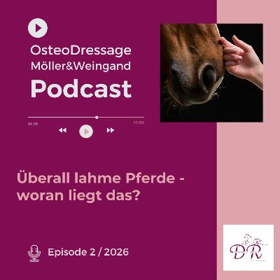Überall lahme Pferde - woran liegt das?