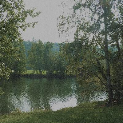 RAIN UNDER A TREE • A Delicate Backdrop To Study To