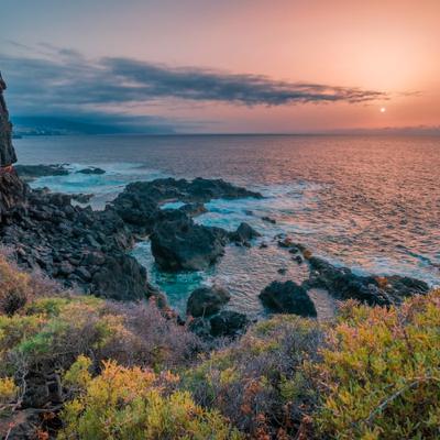 Maxi en Tenerife, España