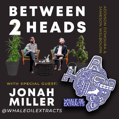 B2H presents Jonah Miller || Whale Oil Extracts || Episode #11