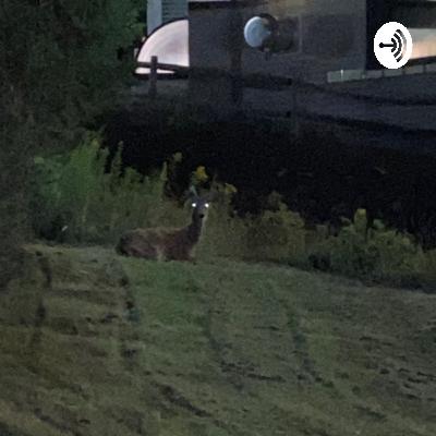 The bread winner podcast