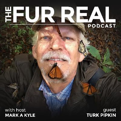 "SXSW Live: MONARCHS, FLAMINGOS & GORILLAS" with Turk Pipkin