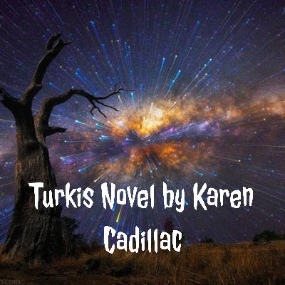 Turkis Novel