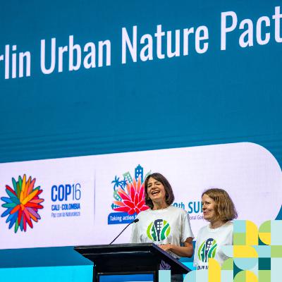 Features: Biodiversity success at COP16 amid global challenges