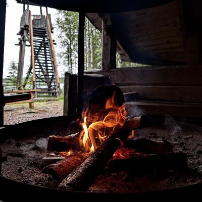 Laponia #3 i 4 | O lasach, rozczarowaniu i nagrodzie