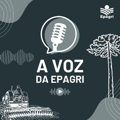 17 de outubro - A voz da Epagri