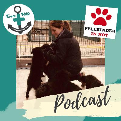 Fellkinder in Not mit Julia teil 2 🐾💝🐱 -Info: 18.12.21 20:30Uhr Live auf Instagram mit uns ✌ Fellkinder in Not mit Julia teil 2 🐾💝🐱 -Info: 18.12.21 20:30Uhr Live auf Instagram mit uns ✌