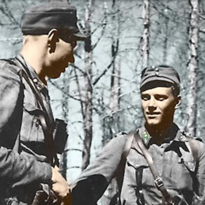 Den finske fortsettelseskrigen