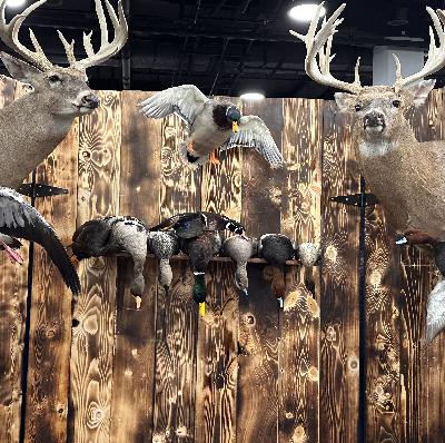 210: Dave Winchester’s Sporting Camp with Corey Goodwin