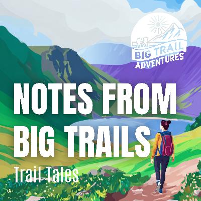 Going Alone: The Reality of Solo Hiking