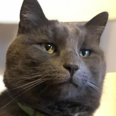 13. Behind The Scenes