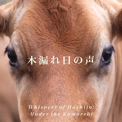 02 ちょっとした非日常 02 ちょっとした非日常