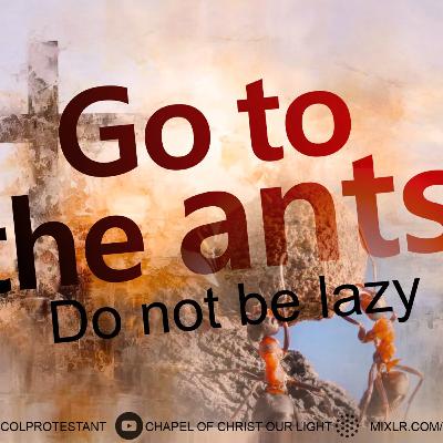 GO TO THE ANTS - DO NOT BE LAZY - (Rev. Taiwo Adeniyi)
