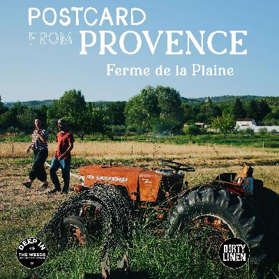 Postcard from Provence Episode 2 (Ferme de la Plaine) with Dani Valent